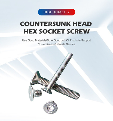 スタッドレスタイヤ 収納フィルプス 引き上げ Countersunk 頭 半円形 スクリューボルト A2-70