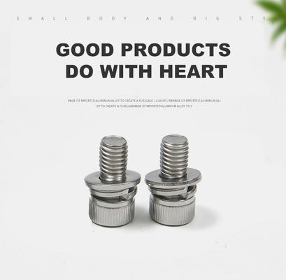 シンプル・フィニッシュ ステンレス・スチール・コンビネーション・スクリュー 内部・六角型フラット・スプリング・ウォッシャー