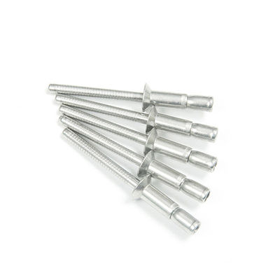 中国製の製造業者からの平らな仕上げのステンレス鋼のリベット