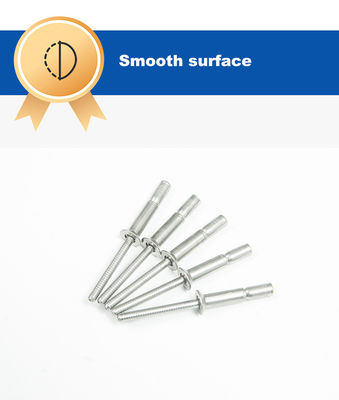 中国製の製造業者からの平らな仕上げのステンレス鋼のリベット