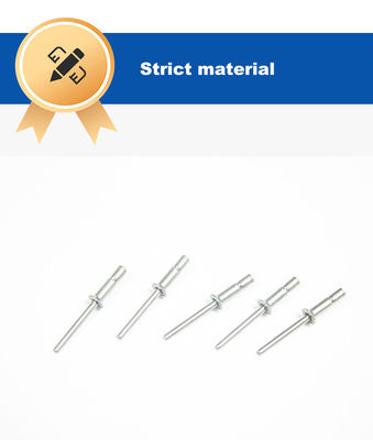 中国製の製造業者からの平らな仕上げのステンレス鋼のリベット