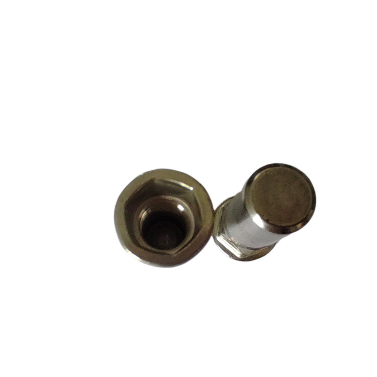耐久性 耐久性のあるアプリケーションのためのFlat Head Semi-Hex Closed End Rivet Nut