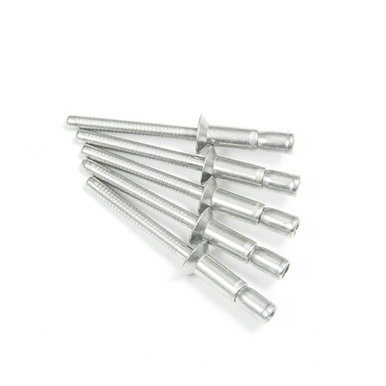 中国製の製造業者からの平らな仕上げのステンレス鋼のリベット